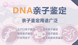 株洲正规的亲子鉴定检测机构地址在哪