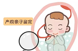 株洲孕期亲子鉴定机构在哪里,株洲孕期亲子鉴定哪里做的准 株洲孕期亲子鉴定机构在哪里,株洲孕期亲子鉴定哪里做的准