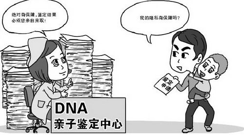 株洲司法DNA亲子鉴定需要怎么办理,株洲司法亲子鉴定预约电话 株洲司法DNA亲子鉴定需要怎么办理,株洲司法亲子鉴定预约电话